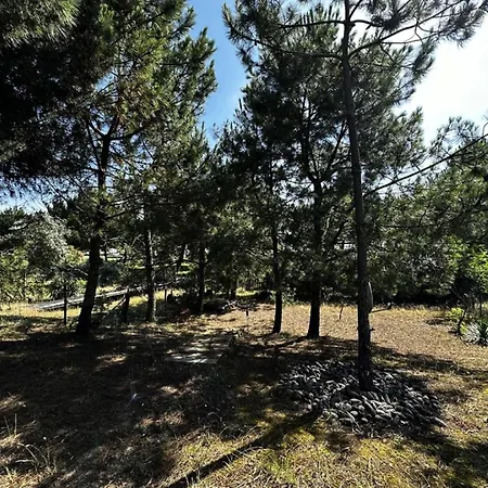 083-le Verdon Sur - 083 - Vue Imprenable Sur Port Medoc Mae-4421