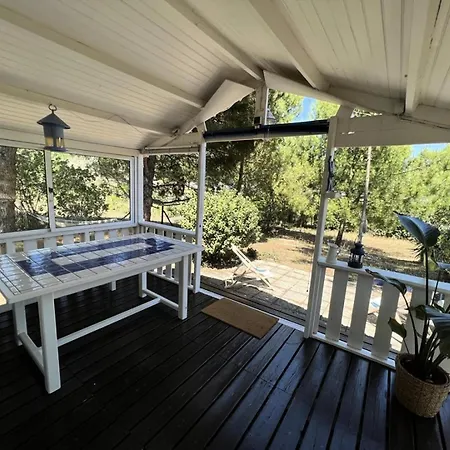 083-le Verdon Sur - 083 - Vue Imprenable Sur Port Medoc Mae-4421 Chalet